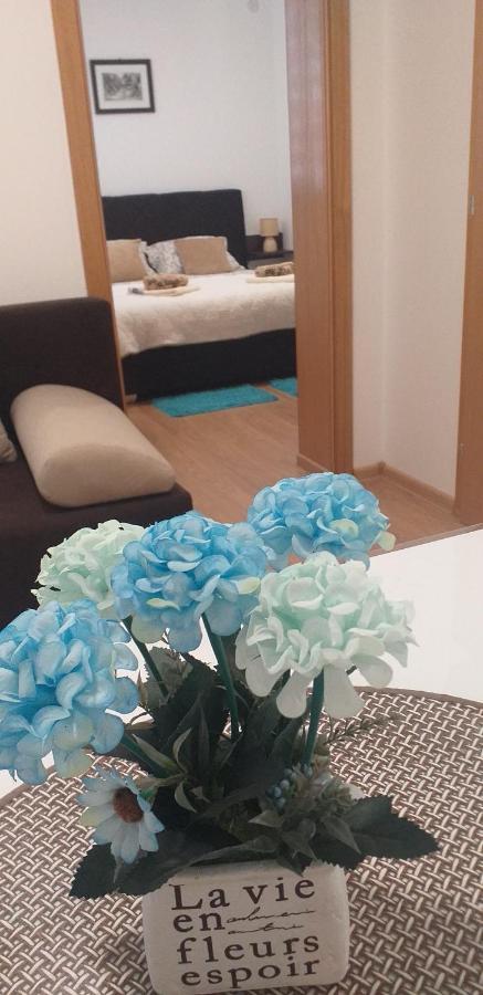 Apartman Golubovic Veliko Gradište Exterior foto
